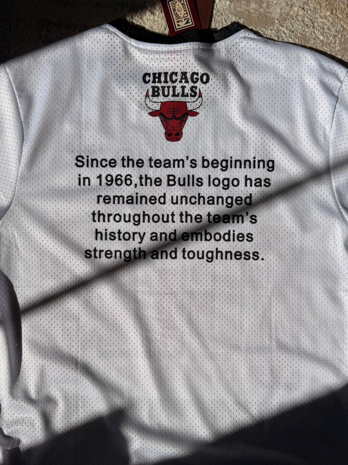 Chicago Retro Heritage Mesh Graphic Shooting Shirt